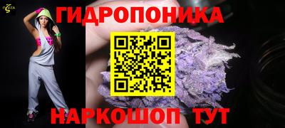МДПВ Партизанск