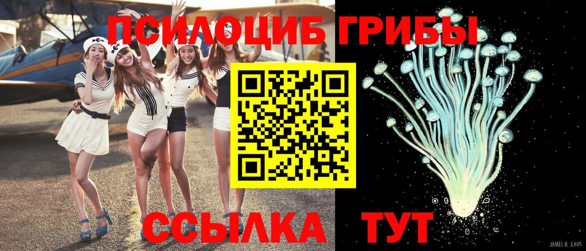 Псилоцибиновые грибы GOLDEN TEACHER  Вход с VPN  Томск 