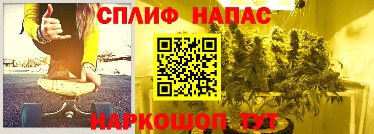 Шишки марихуана план  Бошки марихуана Amnesia  Вход с VPN  Томск  Марихуана тримм 